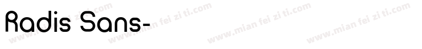 Radis Sans字体转换